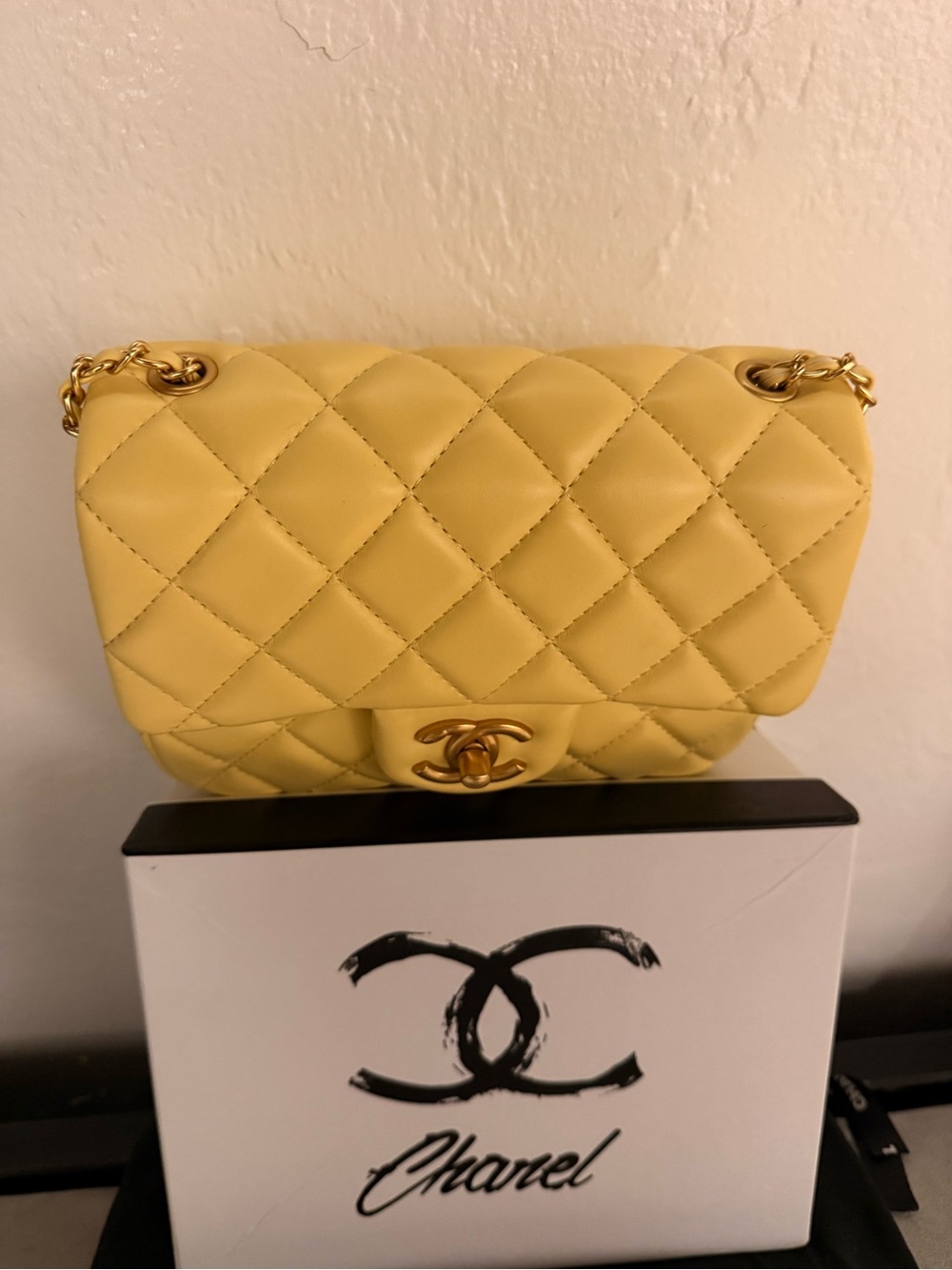 MINI LUXURY BAG - Picture 6 of 16